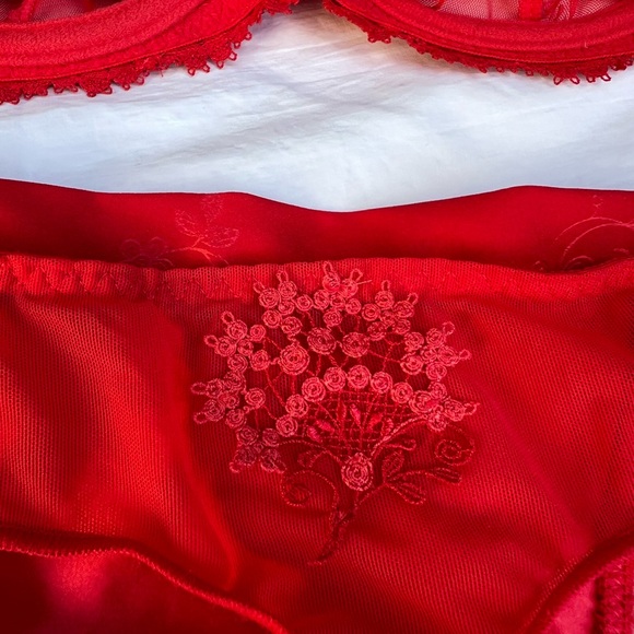 Simone Perele WISH SET demi bra and thong panties in RUBY  BNWT 32c and M thong - Picture 11 of 16